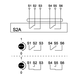 S2A